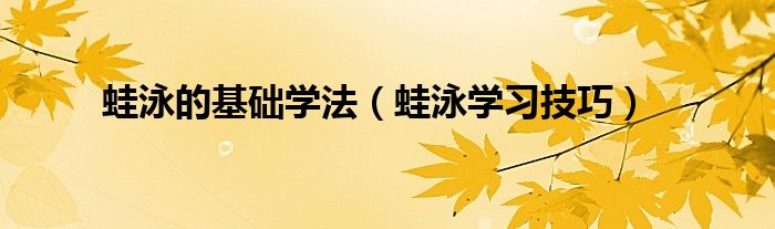 蛙泳的基础学法（蛙泳学习技巧）