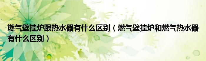 燃气壁挂炉跟热水器有什么区别（燃气壁挂炉和燃气热水器有什么区别）