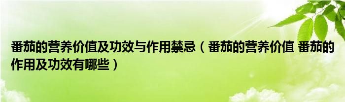 番茄的营养价值及功效与作用禁忌（番茄的营养价值 番茄的作用及功效有哪些）