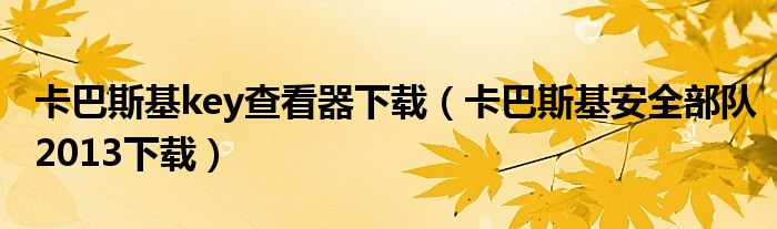 卡巴斯基key查看器下载（卡巴斯基安全部队2013下载）