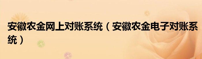 安徽农金网上对账系统（安徽农金电子对账系统）
