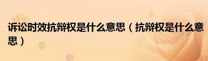 诉讼时效抗辩权是什么意思（抗辩权是什么意思）