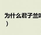 为什么君子兰叶子发黄（君子兰叶子发黄腐烂）