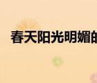 春天阳光明媚的诗句（那时相识阳光明媚）