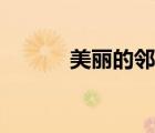 美丽的邻居在线（美丽的邻居）