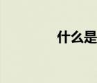 什么是质数（什么是质数）