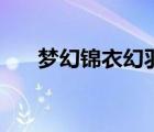 梦幻锦衣幻羽需要多少钱（梦幻锦衣）