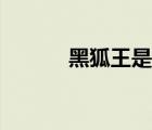 黑狐王是哪个动画片（黑狐王）