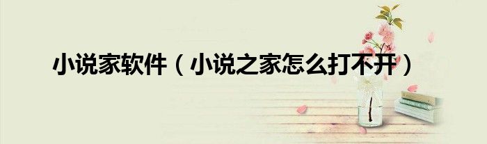小说家软件（小说之家怎么打不开）