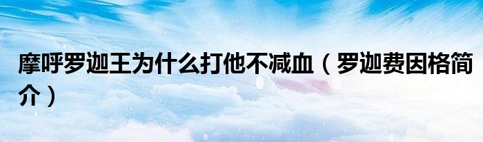 摩呼罗迦王为什么打他不减血（罗迦费因格简介）