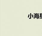 小海星的日常（小海星）