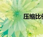 压缩比例200:1（压缩比例）