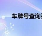 车牌号查询系统c（车牌号查询系统）
