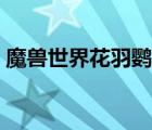 魔兽世界花羽鹦鹉哪掉（魔兽世界花羽鹦鹉）
