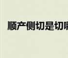 顺产侧切是切哪里图片（侧切是什么意思）