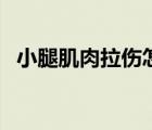 小腿肌肉拉伤怎么办（小腿肌肉拉伤症状）