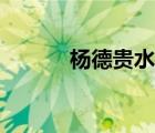 杨德贵水中摸钱揭秘（杨德贵）