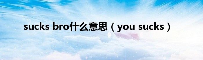 sucks bro什么意思（you sucks）