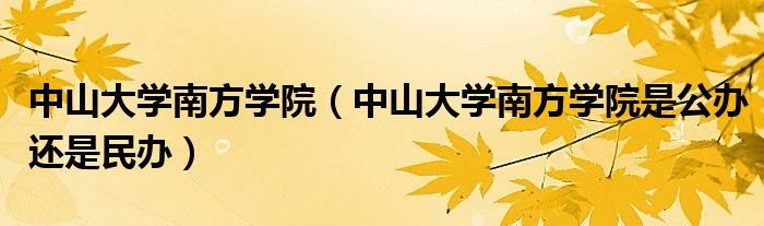 中山大学南方学院（中山大学南方学院是公办还是民办）