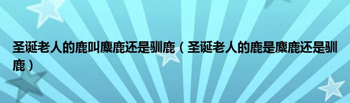 圣诞老人的鹿叫麋鹿还是驯鹿（圣诞老人的鹿是麋鹿还是驯鹿）