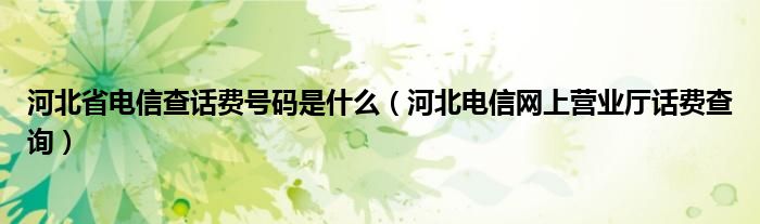 河北省电信查话费号码是什么（河北电信网上营业厅话费查询）