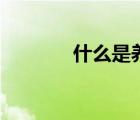 什么是养生壶（什么是养生）