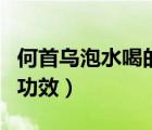 何首乌泡水喝的功效及禁忌（何首乌泡水喝的功效）