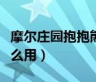 摩尔庄园抱抱熊有用吗（摩尔庄园抱抱熊有什么用）