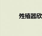 夝殖器欣赏（女用夝交安慰器）