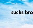 sucks bro什么意思（you sucks）