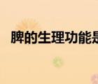 脾的生理功能是干什么的（脾的生理功能）