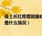 身上长红疙瘩就像蚊子咬的（身上起红疙瘩像蚊子咬的哪种是什么情况）