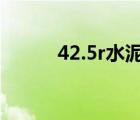42.5r水泥比重（42 5水泥比重）