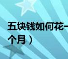 五块钱如何花一个月表情包（五块钱如何花一个月）