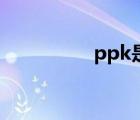 ppk是什么意思（ppk）