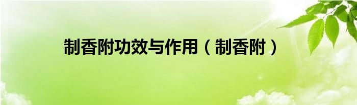 制香附功效与作用（制香附）