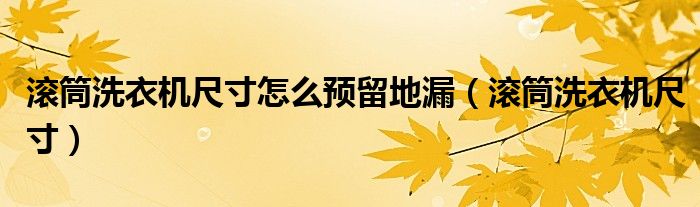 滚筒洗衣机尺寸怎么预留地漏（滚筒洗衣机尺寸）