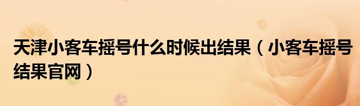 天津小客车摇号什么时候出结果（小客车摇号结果官网）