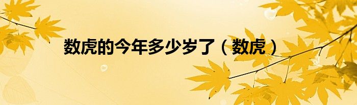 数虎的今年多少岁了（数虎）
