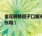 金花转移因子口服液的作用与功效（转移因子口服液有什么作用）