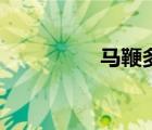 马鞭多长（马鞭有多长）