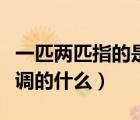 一匹两匹指的是空调的什么（一匹两匹是指空调的什么）