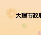 大理市政府门户网（大理市政府）