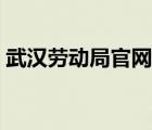 武汉劳动局官网举报网站（武汉劳动局官网）