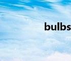 bulbs什么意思（bulbs）