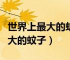 世界上最大的蚊子咬一口吸多少血（世界上最大的蚊子）
