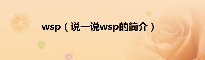wsp（说一说wsp的简介）