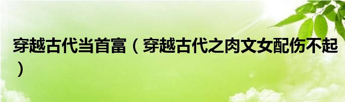 穿越古代当首富（穿越古代之肉文女配伤不起）