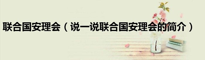 联合国安理会（说一说联合国安理会的简介）