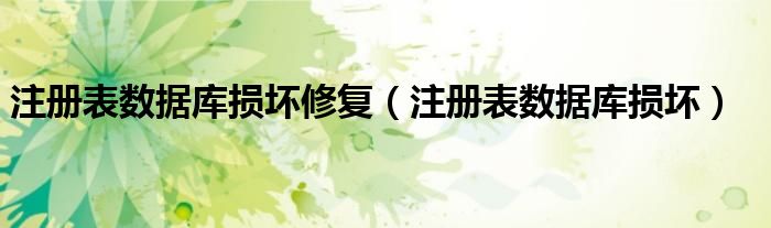 注册表数据库损坏修复（注册表数据库损坏）